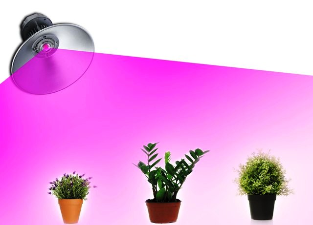 50W LED Камбана за Отглеждане на растения