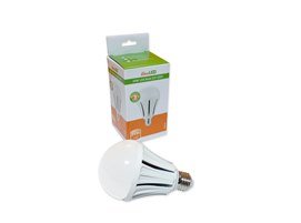 24W LED Крушка E27 - A80 6000K Бяла Светлина